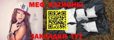 амф Кингисепп