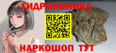 ПСИЛОЦИБИНОВЫЕ ГРИБЫ Кинель