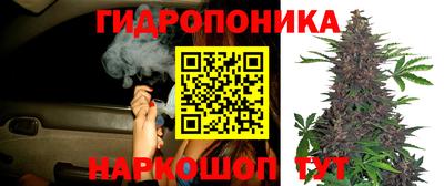 ПСИЛОЦИБИНОВЫЕ ГРИБЫ Кинель