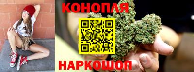 амф Кингисепп
