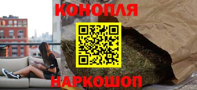 амф Кингисепп