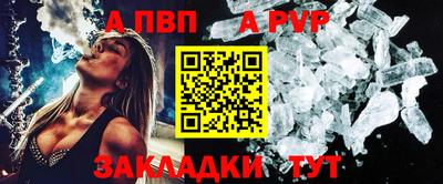 амф Кингисепп