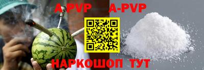амф Кингисепп