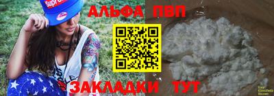 амф Кингисепп