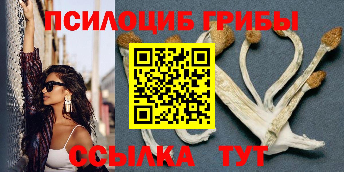 Псилоцибиновые грибы Psilocybe  Вход с VPN  Железногорск 